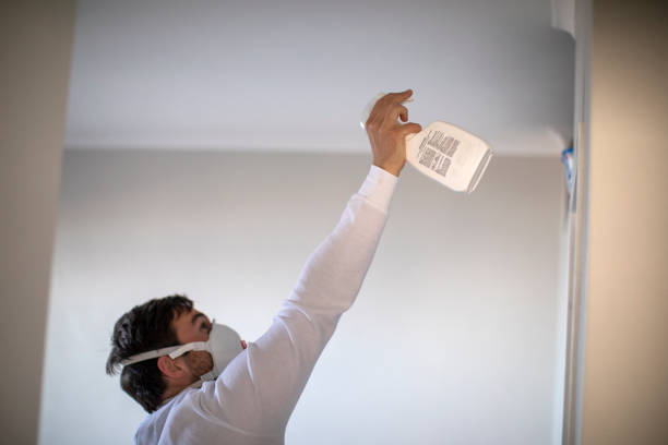 Best Professional Mold Removal  in Wrens, GA