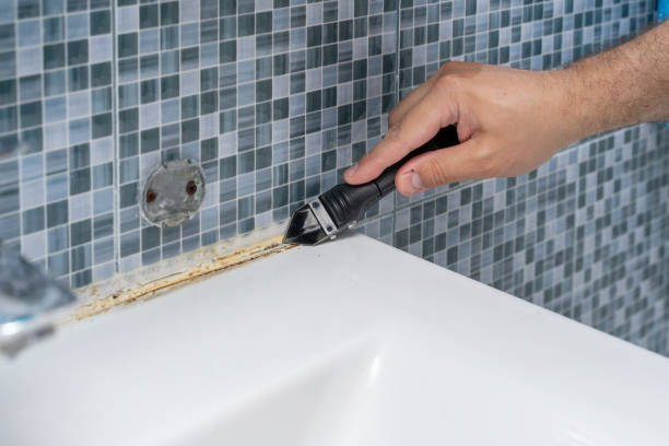 Best Emergency Mold Removal  in Wrens, GA