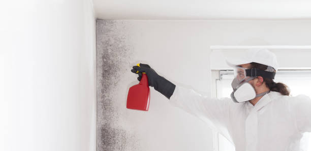 Best Mold Cleaning Services  in Wrens, GA